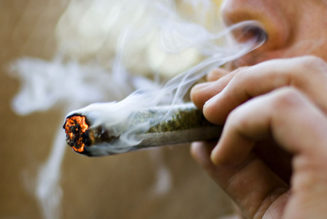 L’Assemblée nationale légalise le cannabis