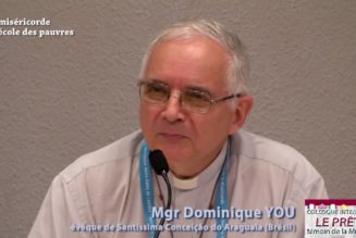 Synode d’Amazonie : l’Instrument Laboris a-t-il tenu compte des évêques locaux ?