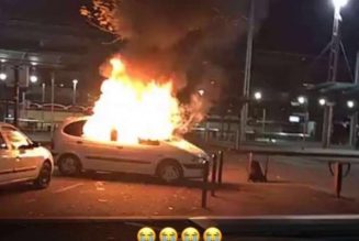 “L’oeuvre d’art” a été incendiée