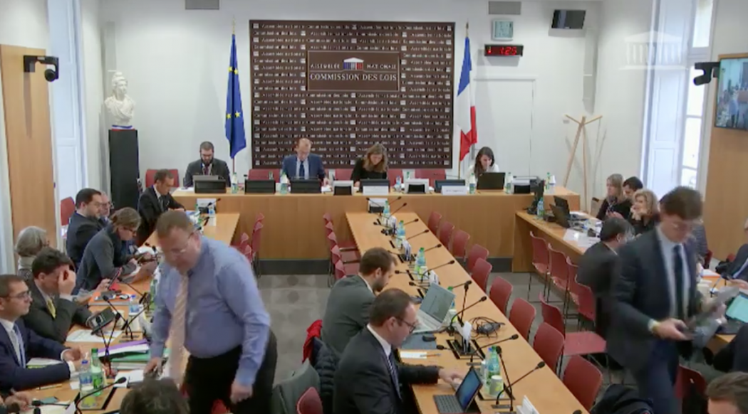 Intervention d’Emmanuelle Ménard en commission à l’occasion du 30e anniversaire de la convention internationale des droits de l’enfant