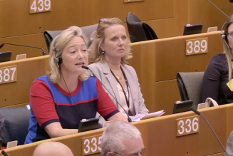 Le droit de l’enfant à avoir un père et une mère ignoré du 30e anniversaire de la Convention internationale des droits de l’enfant