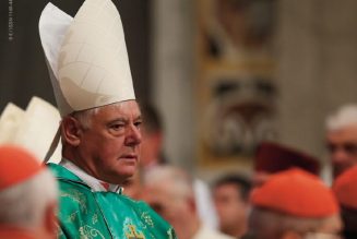Cardinal Müller : c’est faire fausse route que de vouer un culte populiste au pape, en l’absence de tout esprit critique