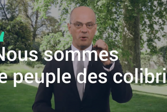 Les élèves auront une cervelle d’oiseau