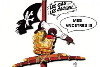 Nos ancêtres les Gaulois