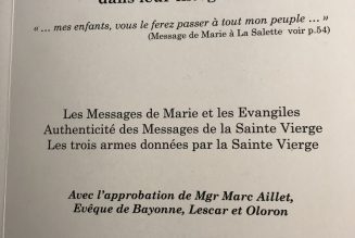 2020 sous le regard de la Sainte Vierge