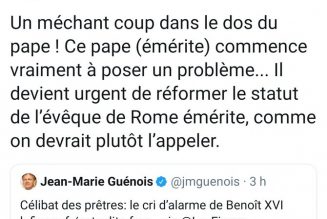 Les loups sont de sortie