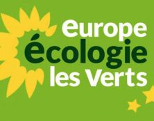 Les scouts pas assez écolos ? Un adjoint au maire de Lyon veut supprimer leurs subventions