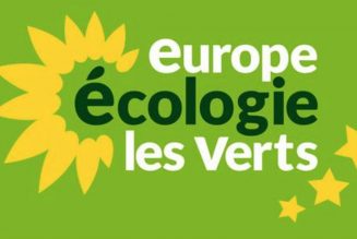 Les scouts pas assez écolos ? Un adjoint au maire de Lyon veut supprimer leurs subventions