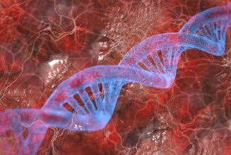 Alerte : Des chercheurs français ont déjà lancé des travaux modifiant l’ADN humain