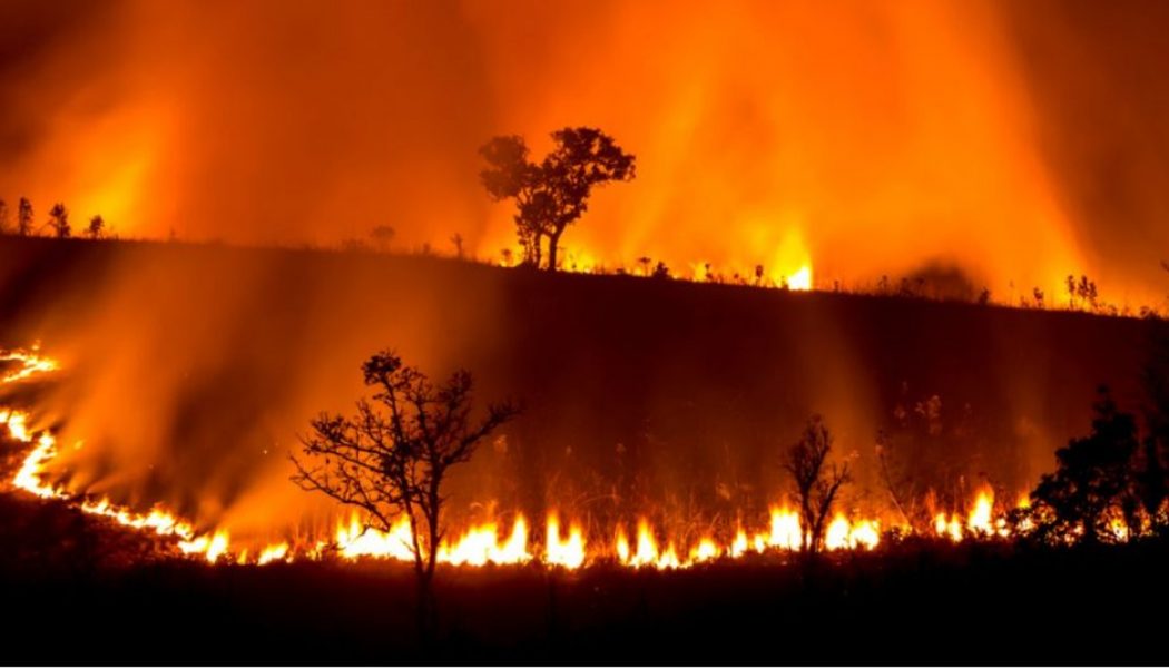 Et si les incendies en Australie étaient une conséquence de la dictature écologique et non du réchauffement climatique ?