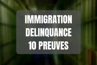 Lien entre immigration et délinquance : les 10 preuves scientifiques et sourcées