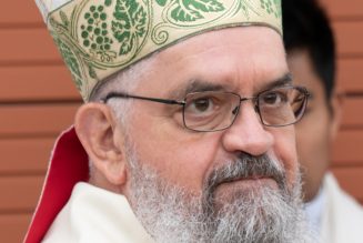 Consécration du diocèse d’Avignon au Coeur Immaculé