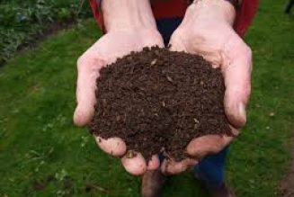 Chronique des cinglés: et maintenant le compost humain!