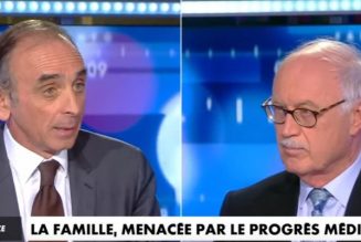 Ainsi font, font, font les petites marionnettes. Entre faire et être. Débat Touraine/Zemmour
