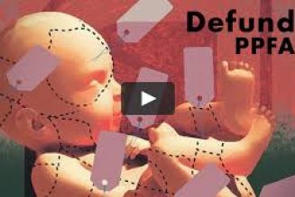 Le Planning familial et le trafic d’organes