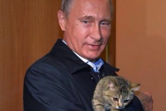 La définition de la famille dans la Constitution russe ?