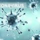 Impact de la protéine spike du virus SARS-CoV-2 sur le système immunitaire adaptatif : autour de l’article de deux universitaires suédois
