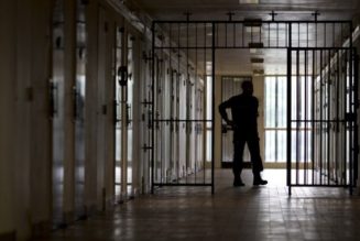 Jean-Dominique Michel : “il ne faut surtout pas confiner l’ensemble de la population”