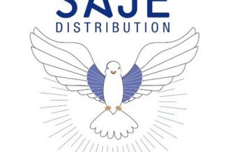 E-Cinéma avec SAJE : programmation