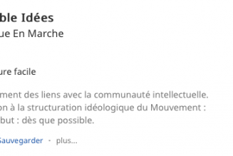 LREM cherche des idées…