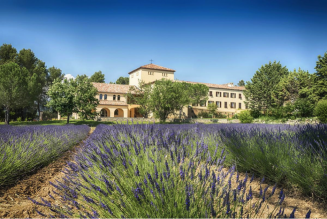 Aide à l’abbaye de Jouques : objectif 2500 tapenades et 3500 vins