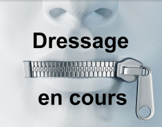 Après le masque et le passe sanitaire, la déclaration en préfecture