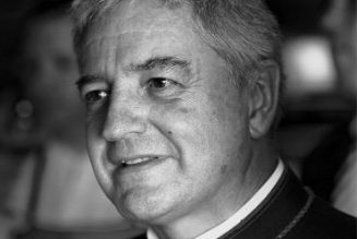 A propos du projet de loi bioéthique – Pour un réveil des consciences