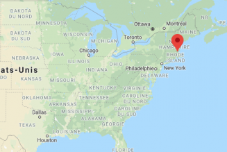 Chronique des cinglés