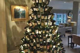 Sapin de Noël, cour de récréation et Tour de France : les priorités des maires ‘écolos’