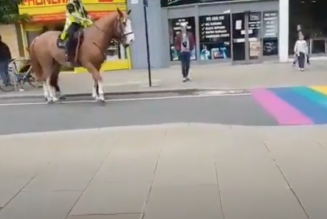 Les chevaux seraient homophobes