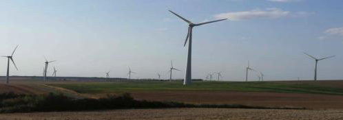 L’Ecosse coupe 14 millions d’arbres pour faire de la place à des éoliennes