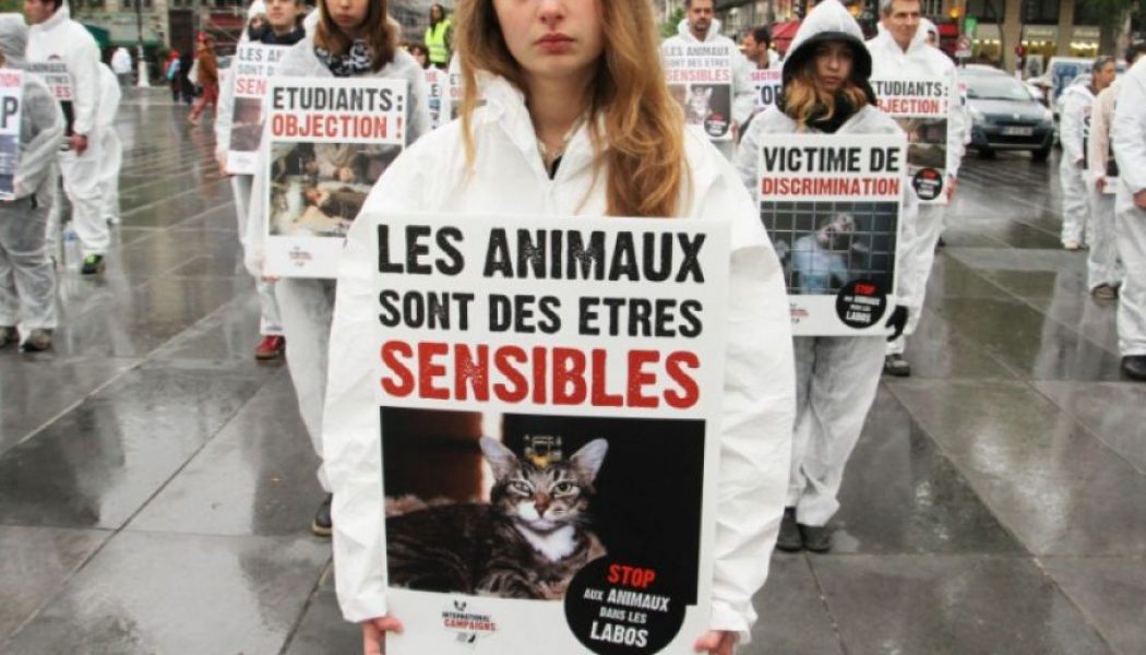Pendant que les bébés sont exterminés dans les centres d’avortement…
