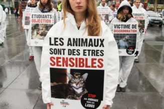 Pendant que les bébés sont exterminés dans les centres d’avortement…