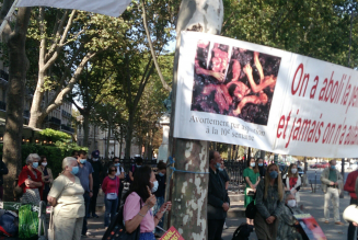 Sos Tout Petits continue