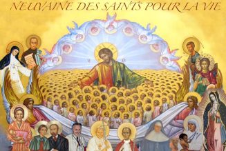 En France, l’histoire de la sainteté est riche car elle est un des pays, sinon le pays, comptant le plus de catholiques béatifiés ou canonisés