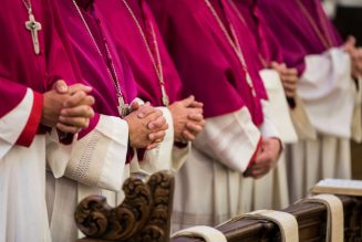 Synode sur la Synodalité : Supplique à nos évêques