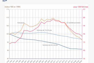 Baisse des naissances en 2020