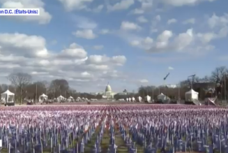 Un petit air de Corée du Nord ou de Nuremberg ?