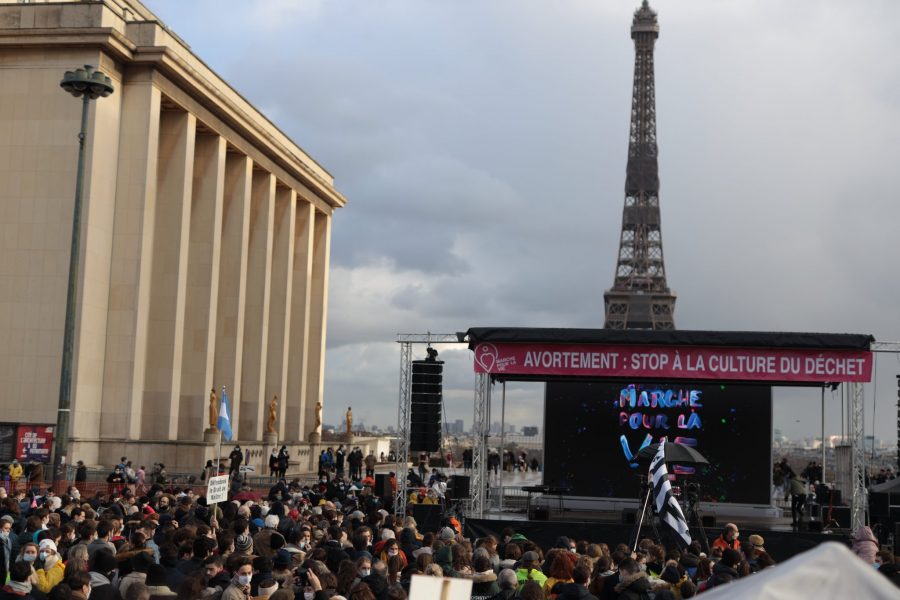 Double mobilisation pour la vie : dans la rue à Paris, et sur les réseaux