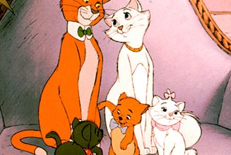 Chronique des cinglés