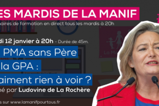 La PMA sans Père et la GPA : vraiment rien à voir ?