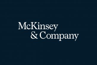 Qui gouverne : la bande à Macron ou McKinsey ?