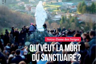 Suspension du chantier à Saint-Pierre de Colombier : “Leur combat idéologique s’est habillé de prétextes écologiques”