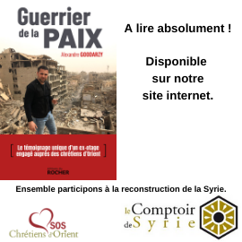 Livre : Guerrier de la Paix