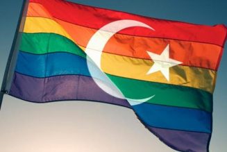 Convergence des luttes ? Peut-être mais surtout provisoire concomitance génocidaire !