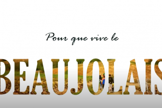 Grégory Soodts : “remettre le réel au centre de nos vies, en créant une média géré depuis la terre”