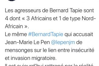 Jean Messiha : “Au nom de quoi devrais-je donc taire le réel ?”