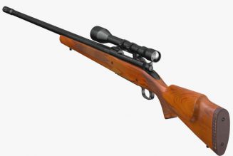 Arme confisquée : les préfets des Yvelines et du Morbihan désavoués