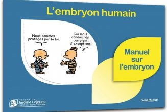 Le projet de loi bioéthique de retour au Sénat le 24 juin