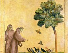 4-9 septembre : L’Italie de saint François avec Odeia